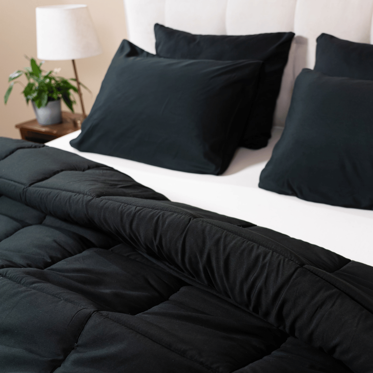 Zelesta Wonderbed - Black