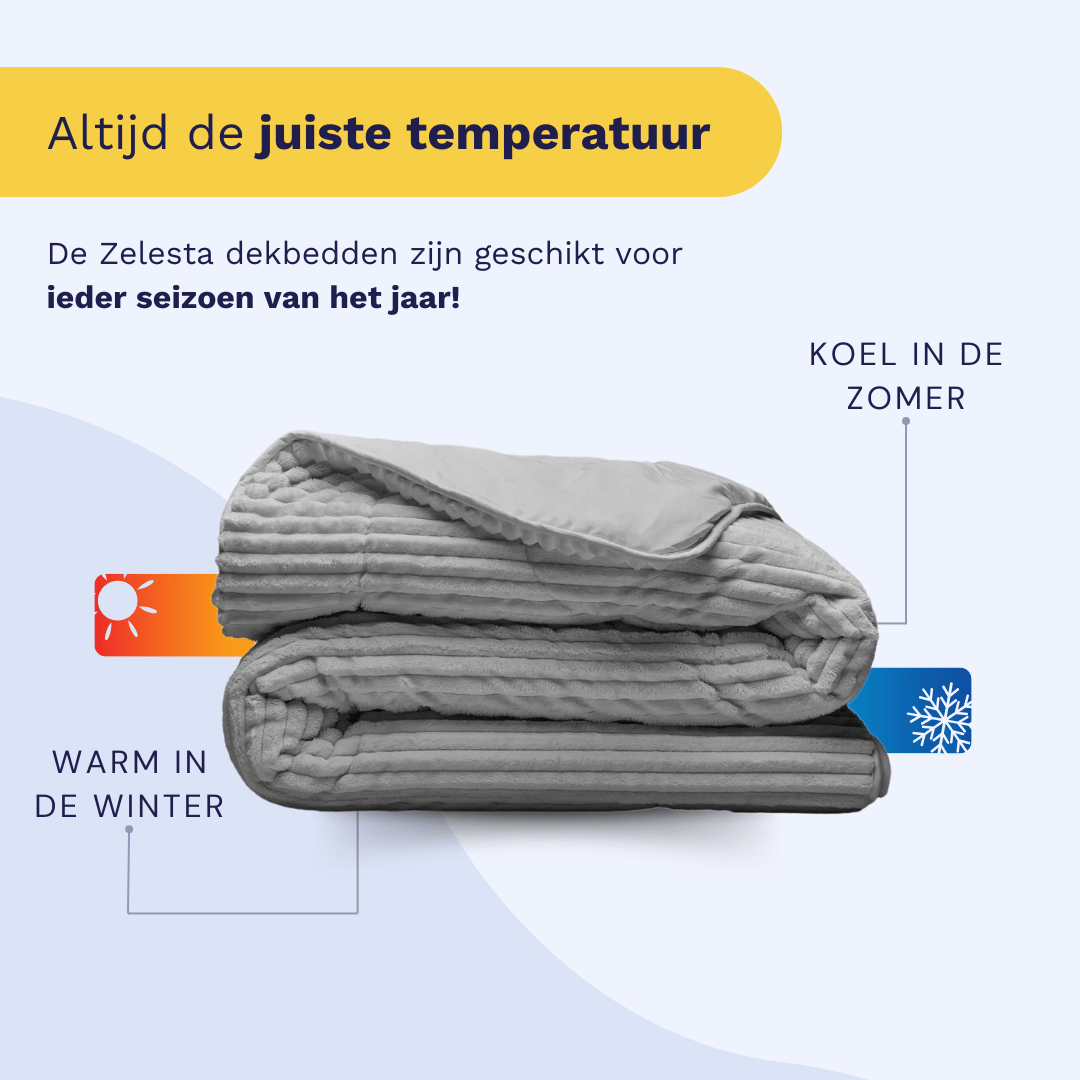 Zelesta Teddy Groovebed - Grey