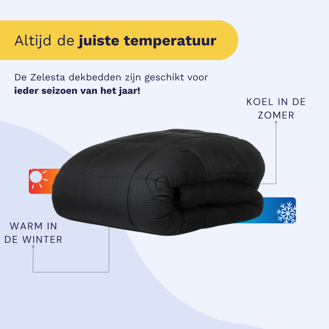 Zelesta Wonderbed - Black