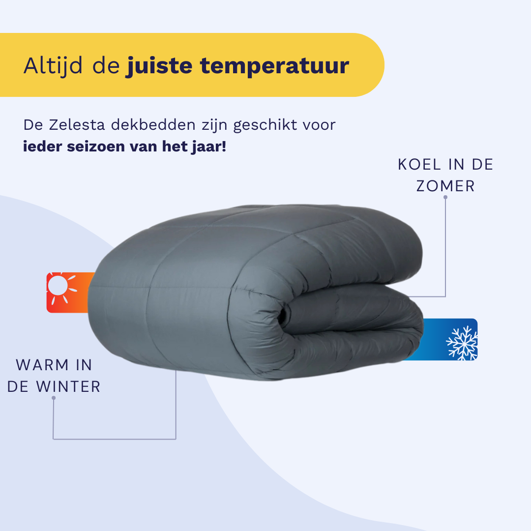 Zelesta Wonderbed - Grey