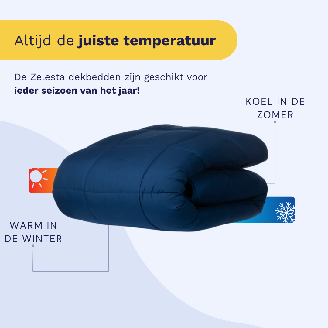 Zelesta Wonderbed - Navy