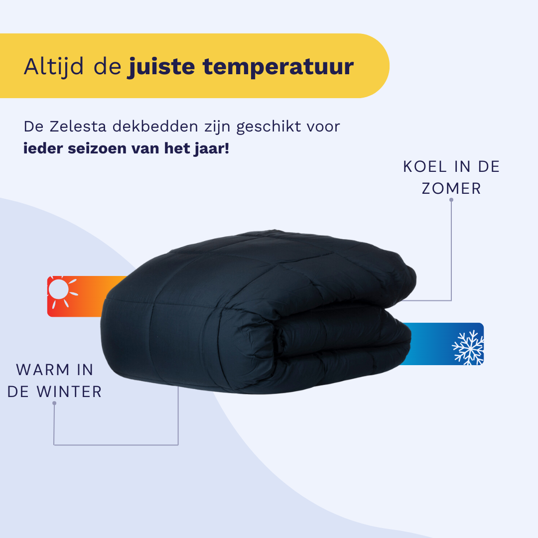 Zelesta Wonderbed 4 Seasons Double - Anthracite