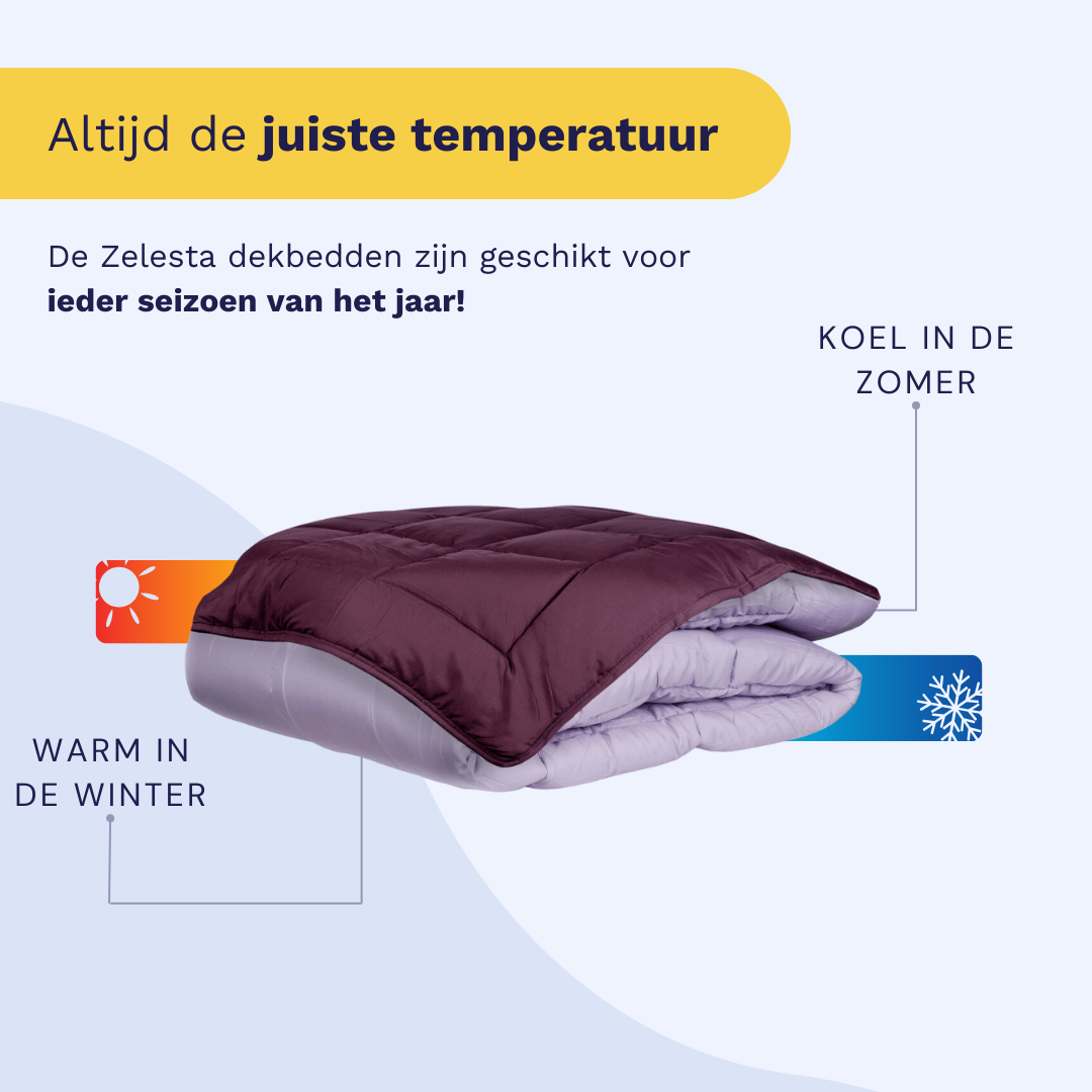 Zelesta Easybed - Paars & Lila