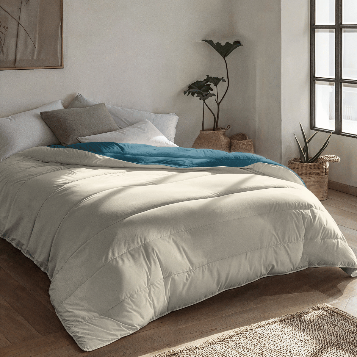 Zelesta Royalbed - Petrol & Sand Beach