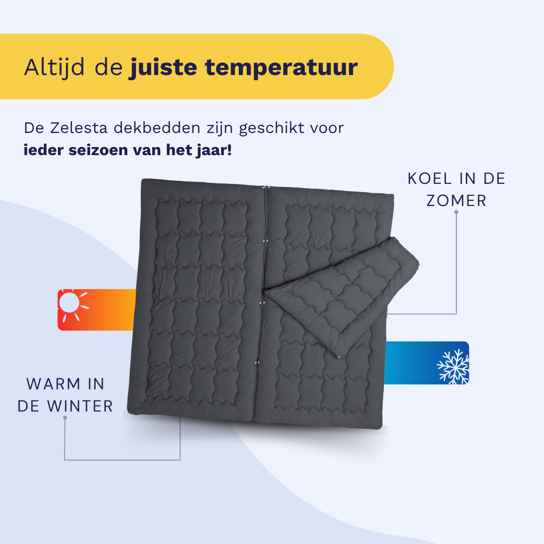 Zelesta Flexibed - Anthracite