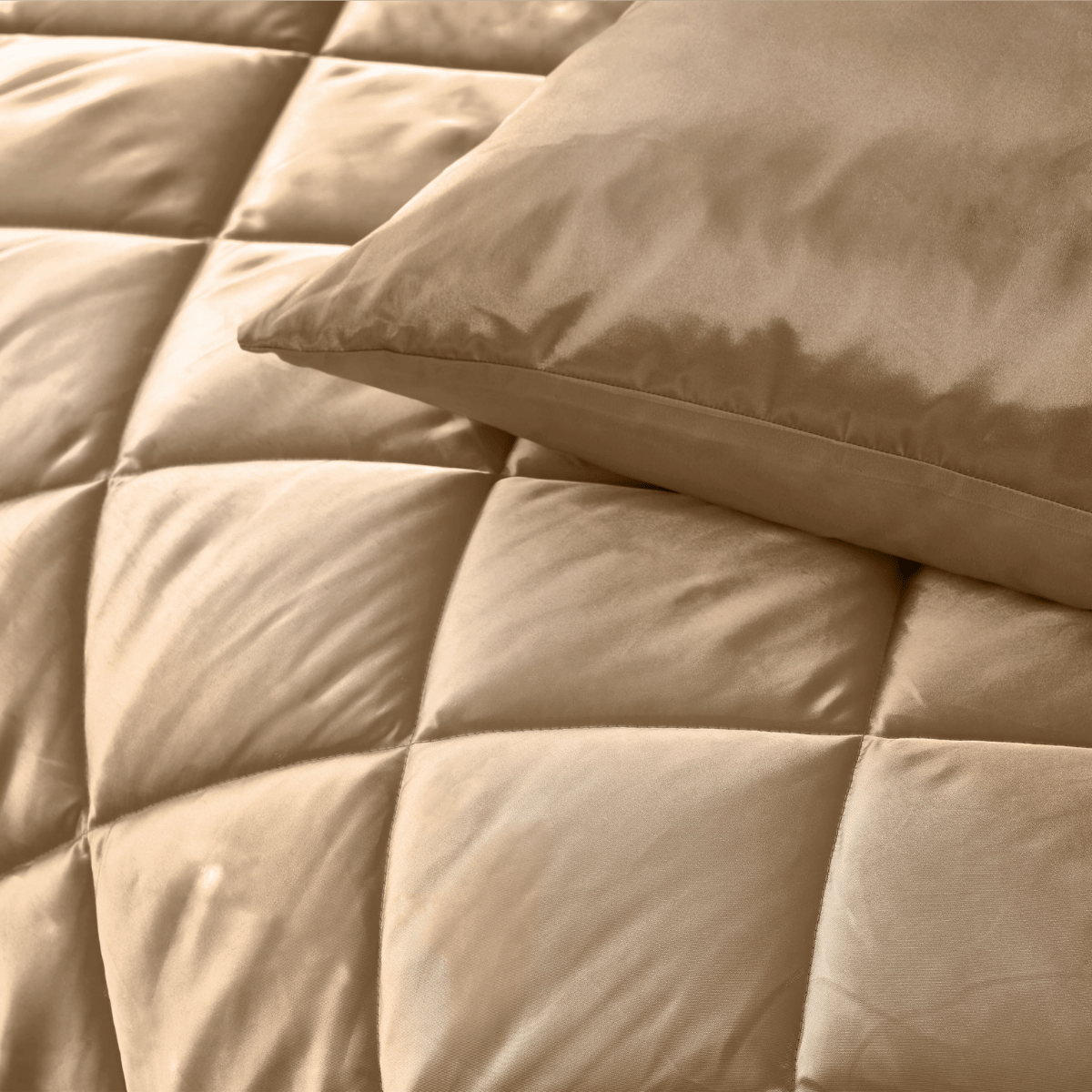 Zelesta Beautybed - Tropical Taupe
