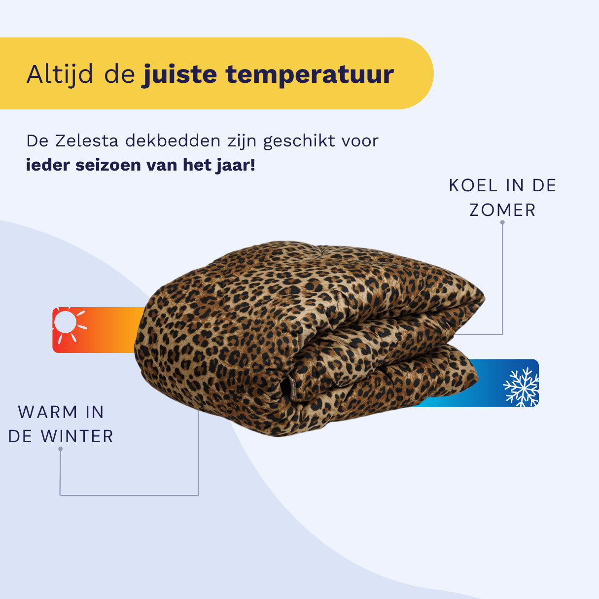 Naar bed met Rumag X Zelesta - Wonderbed Jaguar  Bundel