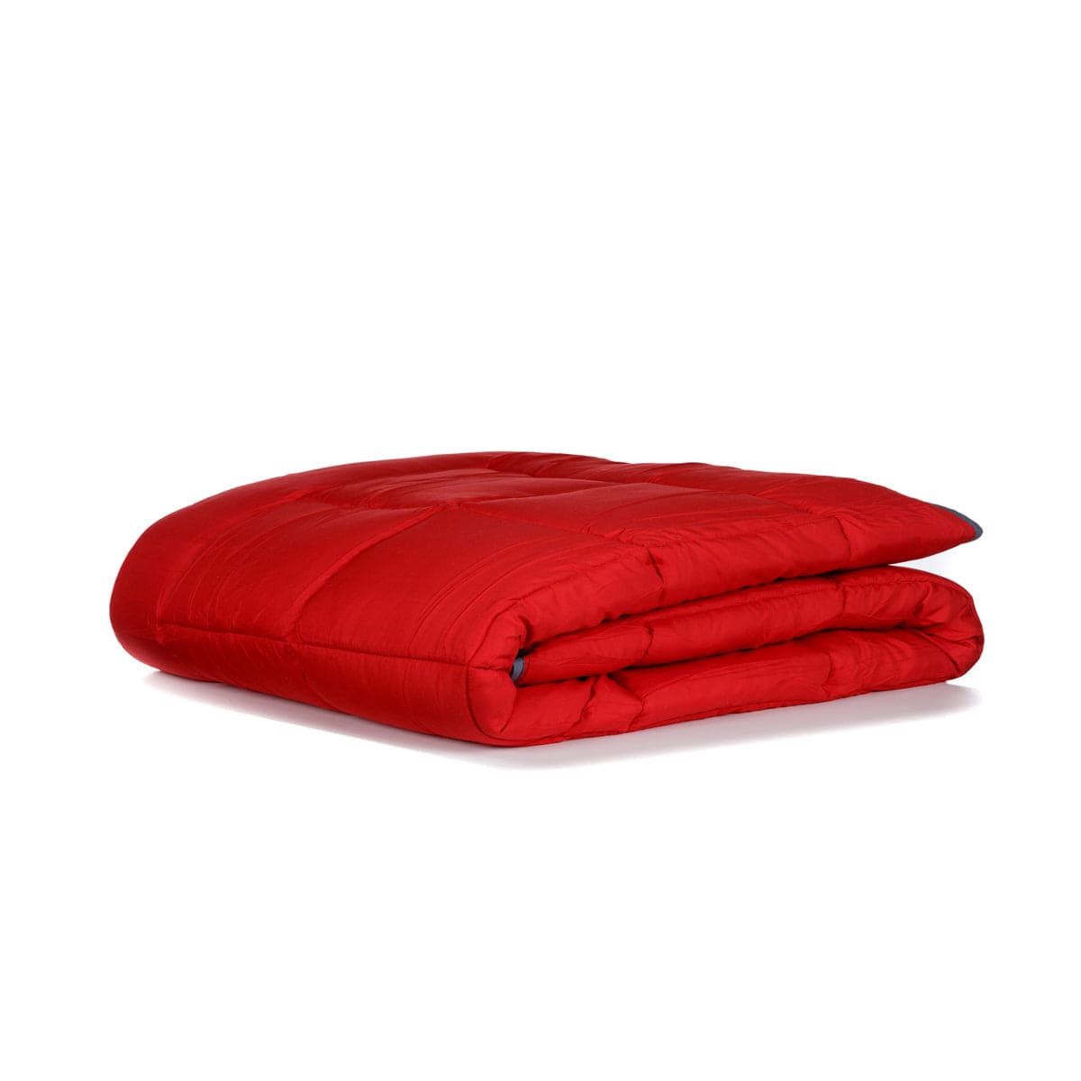 Zelesta Easybed Light - Antraciet & Rood